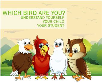 which bird are you